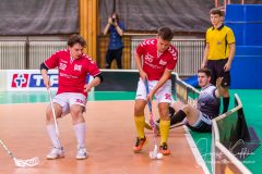 CAPITOL Floorball Team - FBC White Eagles Bratislava CAPITOL Floorball Team - FBC White Eagles Bratislava