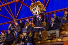 HC OSMOS Bratislava - HK Dukla Ingema Michalovce HC OSMOS Bratislava - HK Dukla Ingema Michalovce