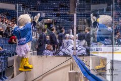 HC Slovan Bratislava - Admiral Vladivostok HC Slovan Bratislava - Admiral Vladivostok