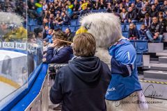 HC Slovan Bratislava - AK Bars Kazan HC Slovan Bratislava - AK Bars Kazan