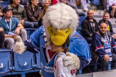 HC Slovan Bratislava - Amur Khabarovsk HC Slovan Bratislava - Amur Khabarovsk