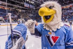 HC Slovan Bratislava - Avtomobilist Ekaterinburg HC Slovan Bratislava - Avtomobilist Ekaterinburg