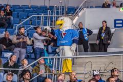 HC Slovan Bratislava - Barys Astana HC Slovan Bratislava - Barys Astana