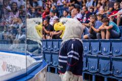 HC Slovan Bratislava - BK Mladá Boleslav HC Slovan Bratislava - BK Mladá Boleslav