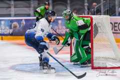 HC Slovan Bratislava - BK Mladá Boleslav HC Slovan Bratislava - BK Mladá Boleslav