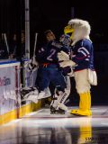 HC Slovan Bratislava - HC Sibir Novosibirsk HC Slovan Bratislava - HC Sibir Novosibirsk