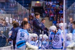 HC Slovan Bratislava - HC Sibir Novosibirsk HC Slovan Bratislava - HC Sibir Novosibirsk