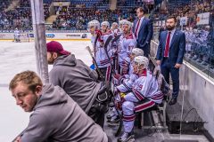 HC Slovan Bratislava - Dinamo Riga HC Slovan Bratislava - Dinamo Riga