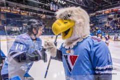 HC Slovan Bratislava - Dinamo Riga HC Slovan Bratislava - Dinamo Riga