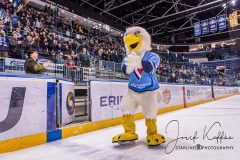 HC Slovan Bratislava - Dinamo Riga HC Slovan Bratislava - Dinamo Riga