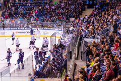 HC Slovan Bratislava - HC Amur Khabarovsk HC Slovan Bratislava - HC Amur Khabarovsk