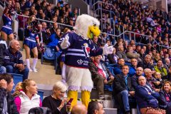 HC Slovan Bratislava - HC Dynamo Moscow HC Slovan Bratislava - HC Dynamo Moscow