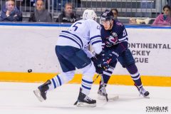 HC Slovan Bratislava - HC Dynamo Moscow HC Slovan Bratislava - HC Dynamo Moscow
