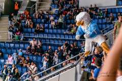 HC Slovan Bratislava - HC Košice HC Slovan Bratislava - HC Košice