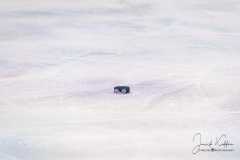 HC Slovan Bratislava - HC Košice HC Slovan Bratislava - HC Košice