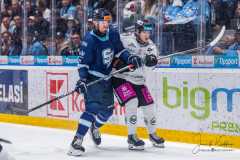 HC Slovan Bratislava - HC Košice HC Slovan Bratislava - HC Košice