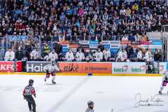 HC Slovan Bratislava - HC Košice HC Slovan Bratislava - HC Košice