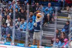 HC Slovan Bratislava - HC Košice HC Slovan Bratislava - HC Košice