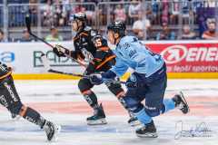 HC Slovan Bratislava - HC Košice