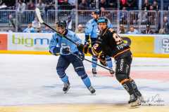 HC Slovan Bratislava - HC Košice HC Slovan Bratislava - HC Košice