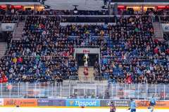 HC Slovan Bratislava - HC Košice HC Slovan Bratislava - HC Košice