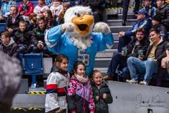 HC Slovan Bratislava - HC Košice HC Slovan Bratislava - HC Košice