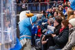 HC Slovan Bratislava - HC Košice HC Slovan Bratislava - HC Košice