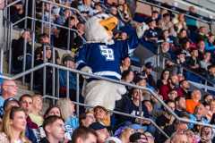 HC Slovan Bratislava - HC Košice HC Slovan Bratislava - HC Košice