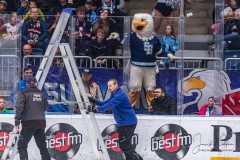 HC Slovan Bratislava - HC Košice HC Slovan Bratislava - HC Košice