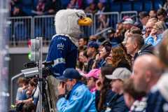 HC Slovan Bratislava - HC Košice HC Slovan Bratislava - HC Košice