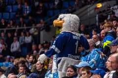 HC Slovan Bratislava - HC Košice HC Slovan Bratislava - HC Košice