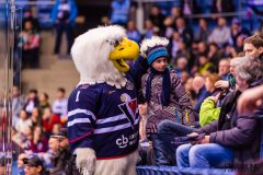 HC Slovan Bratislava - HC Lada Togliatti HC Slovan Bratislava - HC Lada Togliatti