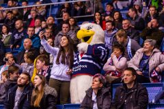 HC Slovan Bratislava - HC Lada Togliatti HC Slovan Bratislava - HC Lada Togliatti