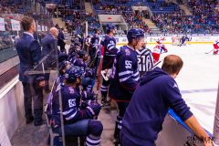 HC Slovan Bratislava - HC Lokomotiv Yaroslavl HC Slovan Bratislava - HC Lokomotiv Yaroslavl