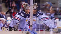 HC Slovan Bratislava - HC Metallurg Magnitogorsk HC Slovan Bratislava - HC Metallurg Magnitogorsk