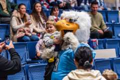 HC Slovan Bratislava - HC MONACObet Banská Bystrica HC Slovan Bratislava - HC MONACObet Banská Bystrica