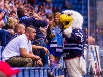 HC Slovan Bratislava - HC Neftekhimik Nizhnekamsk HC Slovan Bratislava - HC Neftekhimik Nizhnekamsk