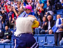 HC Slovan Bratislava - HC Neftekhimik Nizhnekamsk HC Slovan Bratislava - HC Neftekhimik Nizhnekamsk