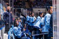 HC Slovan Bratislava - HC Prešov HC Slovan Bratislava - HC Prešov
