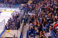 HC Slovan Bratislava - HC Sochi HC Slovan Bratislava - HC Sochi