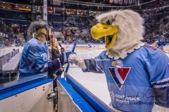 HC Slovan Bratislava - HC Sochi HC Slovan Bratislava - HC Sochi