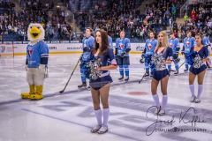 HC Slovan Bratislava - HC Sochi HC Slovan Bratislava - HC Sochi
