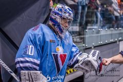 HC Slovan Bratislava - HC Sochi HC Slovan Bratislava - HC Sochi