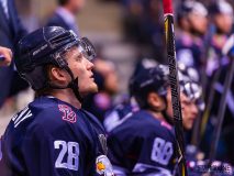 HC Slovan Bratislava - HC Torpedo Nizhny Novgorod