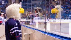 HC Slovan Bratislava - HC Torpedo Nizhny Novgorod