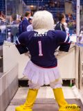 HC Slovan Bratislava - HC Torpedo Nizhny Novgorod