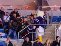 HC Slovan Bratislava - HC Traktor Chelyabinsk HC Slovan Bratislava - HC Traktor Chelyabinsk