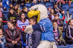 HC Slovan Bratislava - Vityaz Moscow Region HC Slovan Bratislava - Vityaz Moscow Region