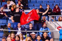 HC Slovan Bratislava - HC Vityaz Moscow Region HC Slovan Bratislava - HC Vityaz Moscow Region