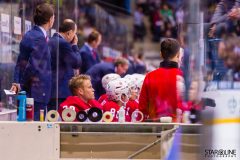 HC Slovan Bratislava - HC Vityaz Moscow Region HC Slovan Bratislava - HC Vityaz Moscow Region